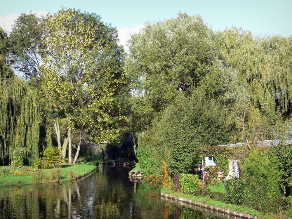 Hortillonnages d'Amiens